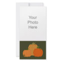 Calico Pumpkin Trio Photo Card photo cards