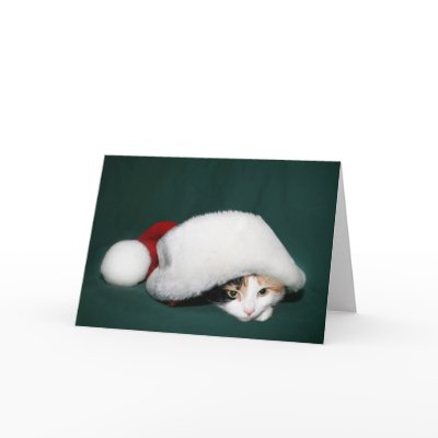 Calico Santa Greeting Cards by deemac1