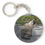 Calico Siamese Cat on Unalaska Island keychains