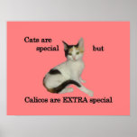 Calicos Are EXTRA Special Print
