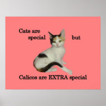 Calicos Are EXTRA Special Print