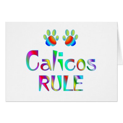Calicos Rule Cards by MyFavoriteCat