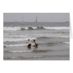 California beach cards