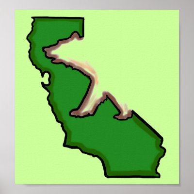 California bear state symbol custom green poster