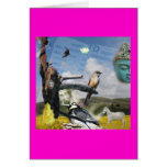 California Buddha cards