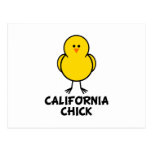 California Chick Postcard