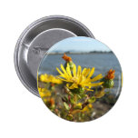 California coastal wildflower button