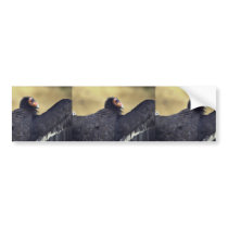 California condor bumper stickers