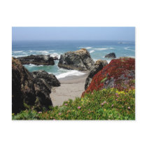 California Dreaming Post Card