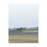 California Farmland Postcard