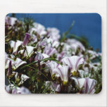 California Flower s Mousepad