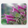 California fuchsia - Mousepad
