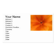California Golden Poppy Macro Business Cards