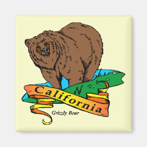 California Grizzly Refrigerator Magnets