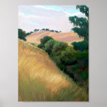California Hills posters
