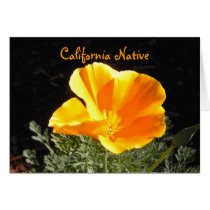 California Native Cards