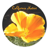 California Native Round Stickers