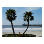 CALIFORNIA PALMS POST CARD