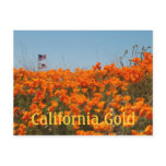 California Poppies And American Flag Post Card