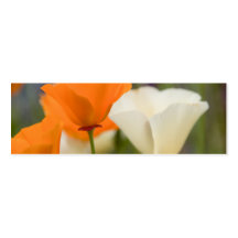 California Poppies Business Cards
