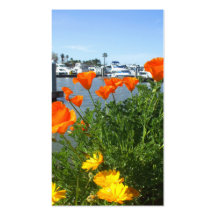 California poppies business cards