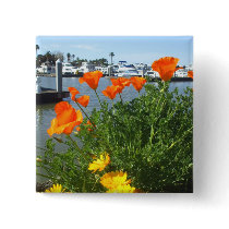 California poppies button