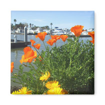 California poppies refrigerator magnets