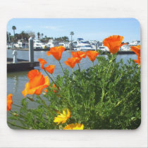 California poppies Mousepad