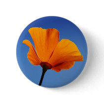 California Poppy Against Blue Sky Buttons