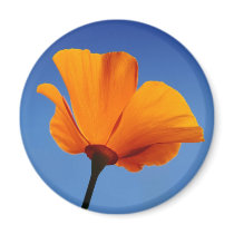 California Poppy Against Blue Sky Refrigerator Magnet