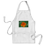 California Poppy aprons