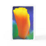California Poppy Bud cards