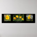 "California Poppy Collection", Black posters