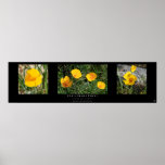 "California Poppy Collection", Black posters