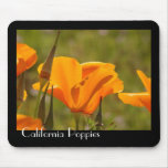 California Poppy Flowers Mousepad