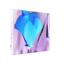 California Poppy-Inverted Gallery Wrapped Canvas