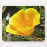 California Poppy Mousepad