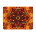 California poppy - Postcard