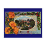 California Poppy Vintage Christmas Postcards