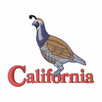 California Quail