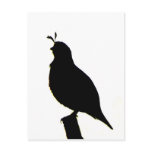 California Quail silhouette Postcard