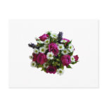 California Roses and Monte Casino White Asters postcards