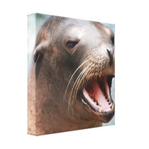 California Sea Lion Canvas Print