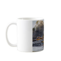 California Sea Otter Coffee Mug