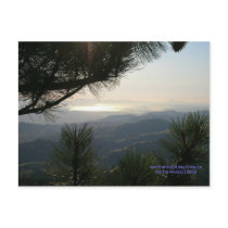 California Seasons - SF Bay Area - Postcard