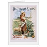 California Seeds Cards