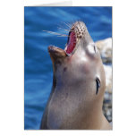 California Singing Seal cards