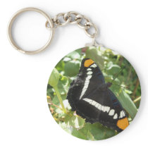 California Sister Butterfly Keychains