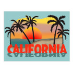 California Souvenir Post Card