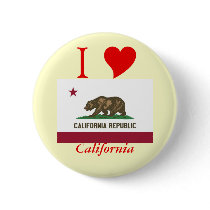 California State Flag Pins